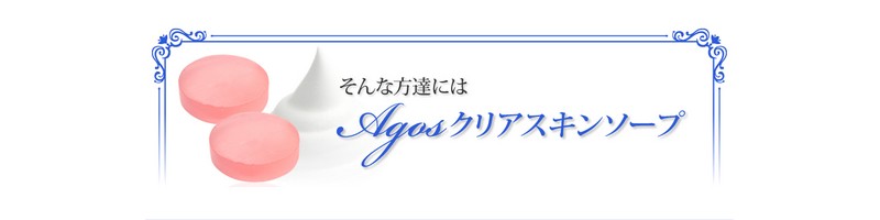 AGOS�N���A�X�L���P�A�\�[�v���T�C�g